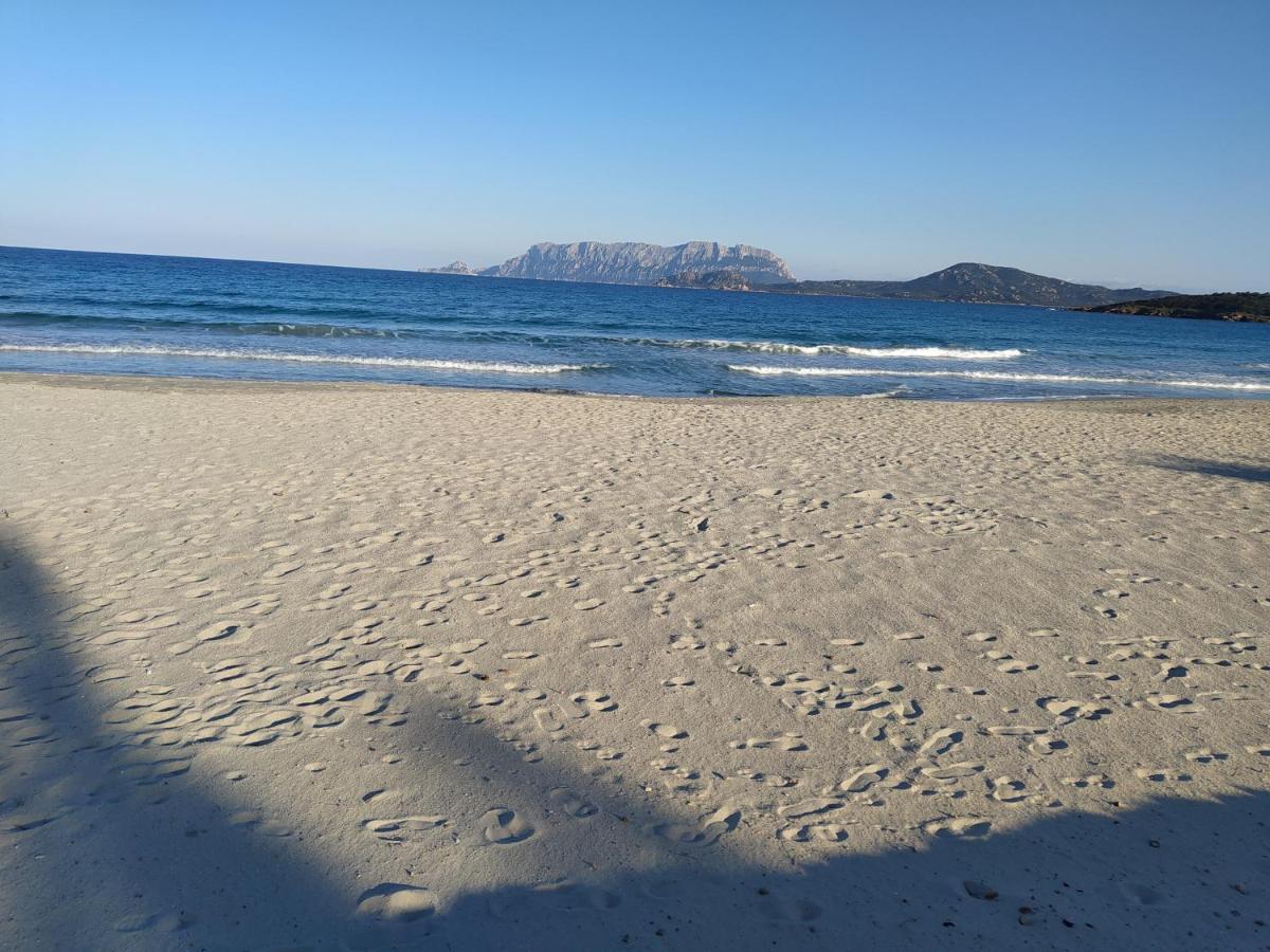 Antica Isola Panzió Olbia Kültér fotó