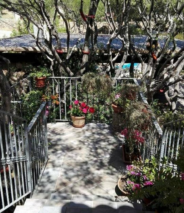 Antica Isola Panzió Olbia Kültér fotó
